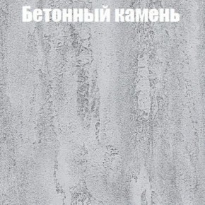 Шкаф-купе Бассо 1.0 (Дуб Крафт серый/Бетонный камень) 2 двери ЛДСП 1 зеркальная вставка в Режи - rezh.ok-mebel.com | фото 3