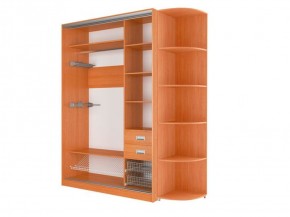 Шкаф-купе Элвис 1500 вариант 1 (ЛДСП/ЛДСП) в Режи - rezh.ok-mebel.com | фото 3