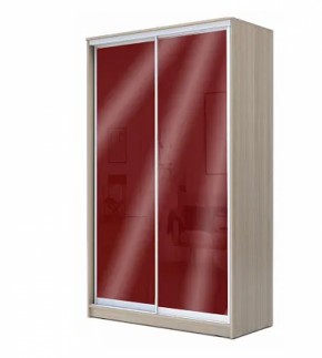 Шкаф-купе ХИТ 22-14-22 (620) в Режи - rezh.ok-mebel.com | фото 9