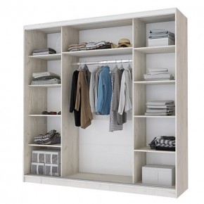 Шкаф-купе Неаполь 2.2 без зеркал в Режи - rezh.ok-mebel.com | фото 2