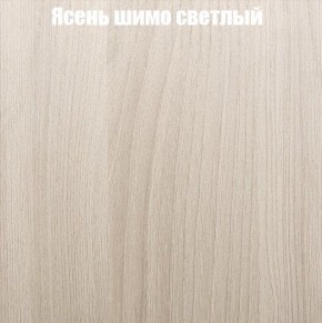 Шкаф-купе «ТАНДЕМ» 2-х дверный в алюминиевом профиле (Дверь ЛДСП+Z) 1400/h2200 в Режи - rezh.ok-mebel.com | фото 6