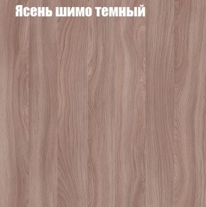 Шкаф-купе «ТАНДЕМ» 2-х дверный в алюминиевом профиле (Дверь ЛДСП+Z) 1400/h2200 в Режи - rezh.ok-mebel.com | фото 7