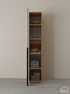 Шкаф Linnea MHR-1-2 2050х400х510 (ДВ-М 11.1.25) в Режи - rezh.ok-mebel.com | фото 4