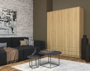 Шкаф Нина (М6) Дуб Сонома в Режи - rezh.ok-mebel.com | фото