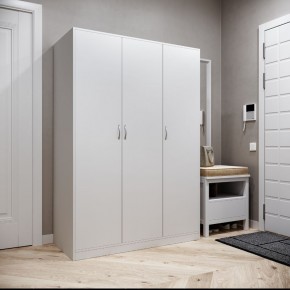 Шкаф ОРИОН трехдверный, цвет белый в Режи - rezh.ok-mebel.com | фото 2