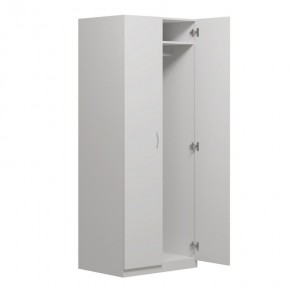 Шкаф ПЕГАС двухдверный, цвет белый в Режи - rezh.ok-mebel.com | фото 2