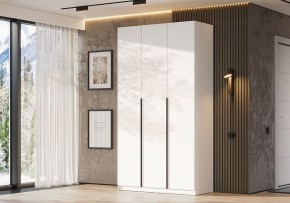 Шкаф платяной Даиго в Режи - rezh.ok-mebel.com | фото 3