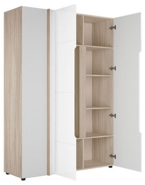 Шкаф платяной Данк в Режи - rezh.ok-mebel.com | фото 2