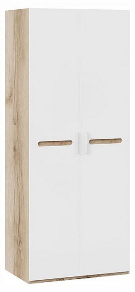 Шкаф платяной Фьюжн ТД-260.07.02 в Режи - rezh.ok-mebel.com | фото