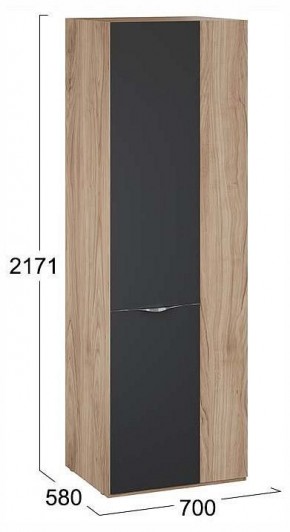 Шкаф платяной Глосс СМ-319.07.006 в Режи - rezh.ok-mebel.com | фото 4