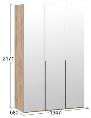 Шкаф платяной Порто СМ-393.07.111 в Режи - rezh.ok-mebel.com | фото 3