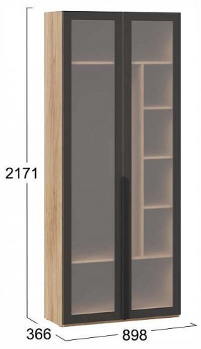 Шкаф платяной Порто СМ-393.07.226 в Режи - rezh.ok-mebel.com | фото 4