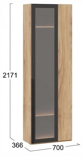 Шкаф платяной Порто СМ-393.07.233 в Режи - rezh.ok-mebel.com | фото 3