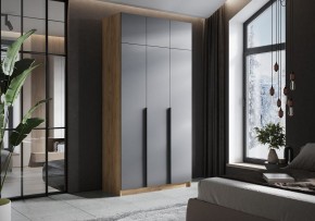 Шкаф платяной Широн в Режи - rezh.ok-mebel.com | фото 4