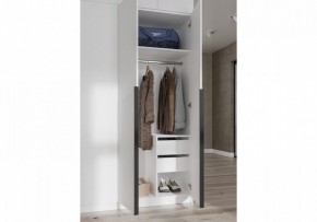 Шкаф платяной Широн в Режи - rezh.ok-mebel.com | фото 3