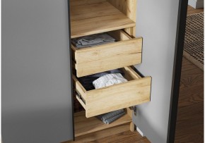 Шкаф платяной Широн в Режи - rezh.ok-mebel.com | фото 3
