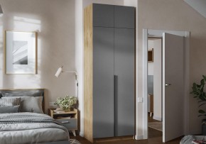 Шкаф платяной Широн в Режи - rezh.ok-mebel.com | фото 4