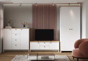 Шкаф платяной Теодора в Режи - rezh.ok-mebel.com | фото 4