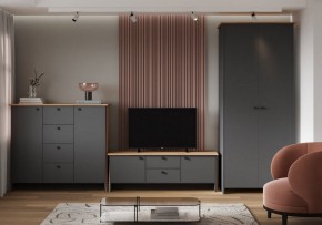 Шкаф платяной Теодора в Режи - rezh.ok-mebel.com | фото 3