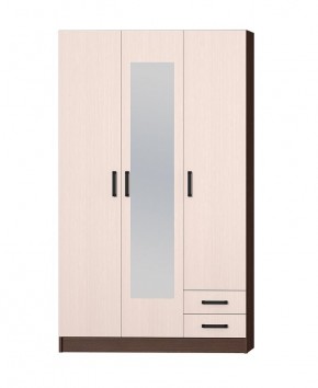 Шкаф распашной Эконом + Зеркало (Венге/Дуб Белфорд) в Режи - rezh.ok-mebel.com | фото 3