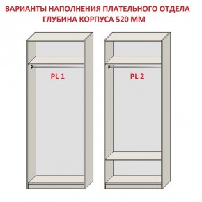 Шкаф распашной серия «ЗЕВС» (PL3/С1/PL2) в Режи - rezh.ok-mebel.com | фото 9