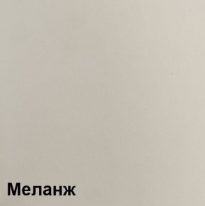 Шкаф ШК-5 (1600) Меланж в Режи - rezh.ok-mebel.com | фото 2