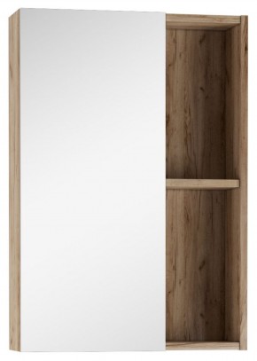 Шкаф-зеркало Craft 50 левый/правый Домино (DCr2212HZ) в Режи - rezh.ok-mebel.com | фото