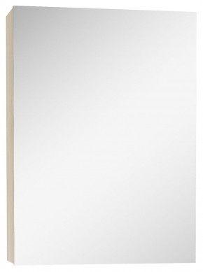 Шкаф-зеркало Мечта 40 Дуб сонома АЙСБЕРГ (DM2317HZ) в Режи - rezh.ok-mebel.com | фото 1