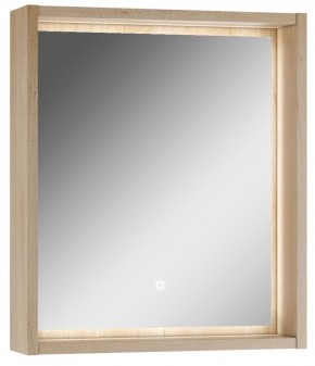 Шкаф-зеркало Nice 60 с подсветкой Домино (DN4706HZ) в Режи - rezh.ok-mebel.com | фото