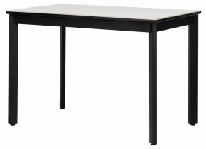 Стол обеденный Айлин 2Р в Режи - rezh.ok-mebel.com | фото