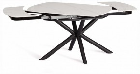 Стол обеденный Winston в Режи - rezh.ok-mebel.com | фото 3