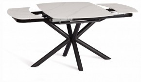 Стол обеденный Winston в Режи - rezh.ok-mebel.com | фото 4