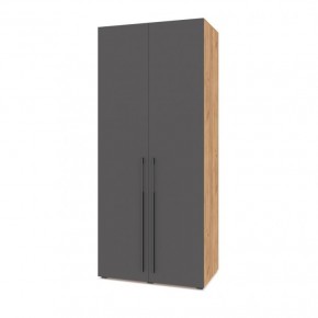 СТОУН С22 Шкаф 2-х створчатый (золотой дуб/графит) в Режи - rezh.ok-mebel.com | фото