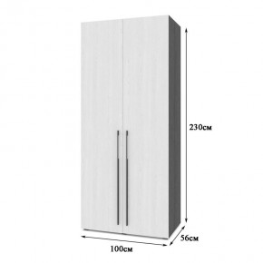 СТОУН С22 Шкаф 2-х створчатый (золотой дуб/графит) в Режи - rezh.ok-mebel.com | фото 2