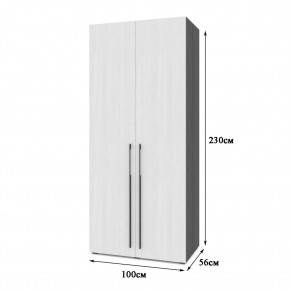 СТОУН С23 Шкаф 2-х створчатый (серый дуб/белый) в Режи - rezh.ok-mebel.com | фото 2