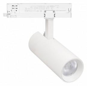 Светильник на штанге Arlight GERA 055048 в Режи - rezh.ok-mebel.com | фото