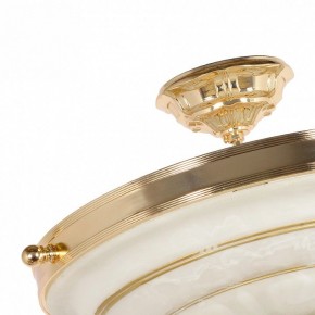 Светильник на штанге Arti Lampadari Pavia Pavia E 1.13.P40 G в Режи - rezh.ok-mebel.com | фото 4