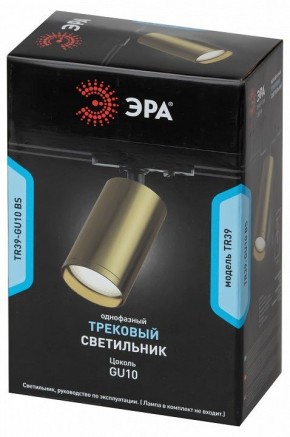 Светильник на штанге Эра  TR39-GU10 BS в Режи - rezh.ok-mebel.com | фото 4