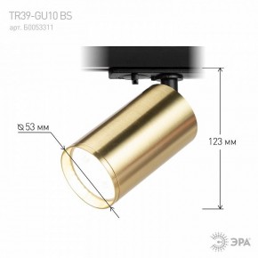 Светильник на штанге Эра  TR39-GU10 BS в Режи - rezh.ok-mebel.com | фото 6
