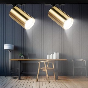 Светильник на штанге Эра  TR39-GU10 BS в Режи - rezh.ok-mebel.com | фото 7