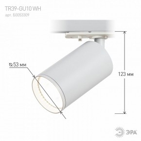 Светильник на штанге Эра  TR39-GU10 WH в Режи - rezh.ok-mebel.com | фото 7