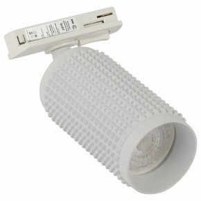 Светильник на штанге Эра  TR40-GU10 WH в Режи - rezh.ok-mebel.com | фото