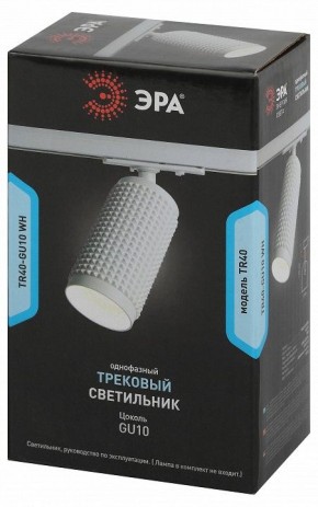 Светильник на штанге Эра  TR40-GU10 WH в Режи - rezh.ok-mebel.com | фото 7