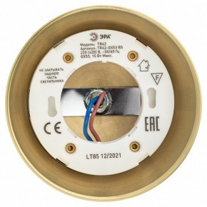 Светильник на штанге Эра  TR42-GX53 BS в Режи - rezh.ok-mebel.com | фото 5