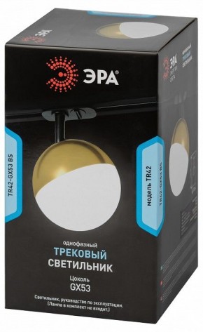 Светильник на штанге Эра  TR42-GX53 BS в Режи - rezh.ok-mebel.com | фото 6