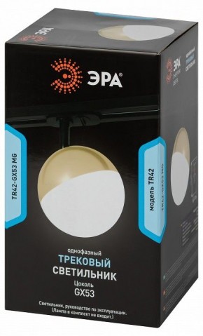 Светильник на штанге Эра  TR42-GX53 MG в Режи - rezh.ok-mebel.com | фото 6