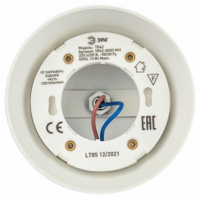 Светильник на штанге Эра  TR42-GX53 WH в Режи - rezh.ok-mebel.com | фото 5