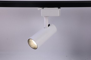 Светильник на штанге Эра  TR5-10 COB WH в Режи - rezh.ok-mebel.com | фото 2