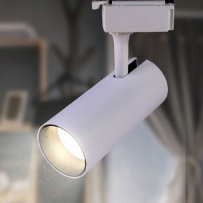 Светильник на штанге Эра  TR5-10 COB WH в Режи - rezh.ok-mebel.com | фото 3