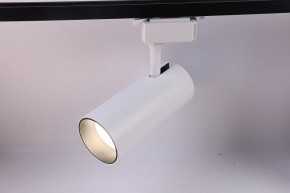 Светильник на штанге Эра  TR5-30 COB WH в Режи - rezh.ok-mebel.com | фото 2